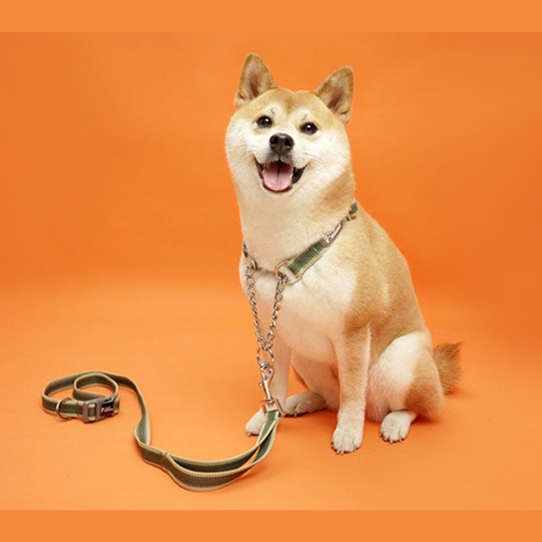 Pet leash set